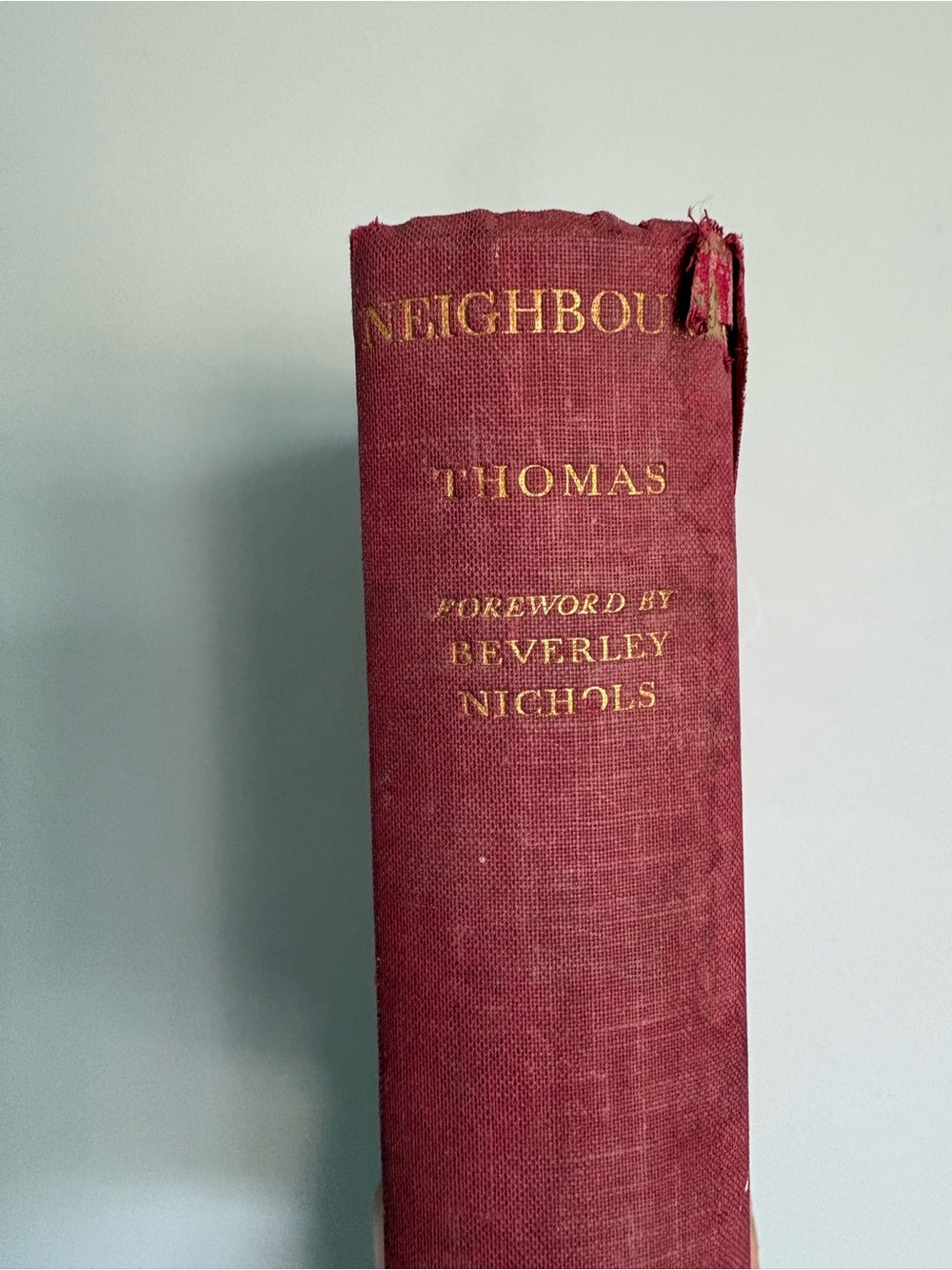 Vintage 1935 Neighbours by George Thomas Hardcover